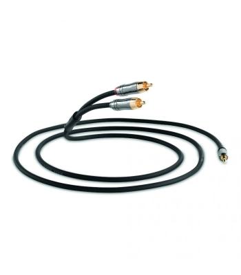 QED Performance 3.5 Mini Jack - RCA Stereo